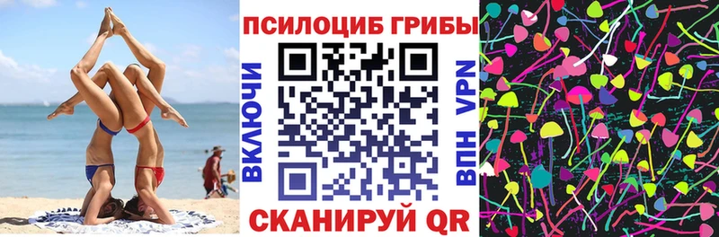 Галлюциногенные грибы Cubensis  Красный Кут 
